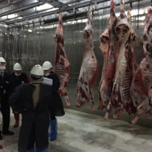 Muğla Büyükşehir Belediyesi'ne Bağlı Mezbaha Tesislerinde Gıda Güvenliği Yönetim Sistemi Denetimleri Gerçekleştirildi